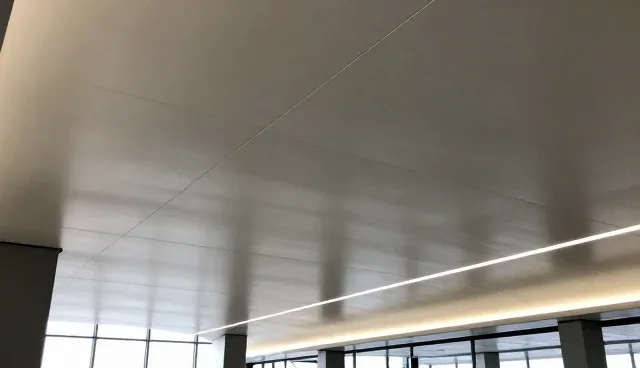 地区差异对技术性能的挑战与适应策略